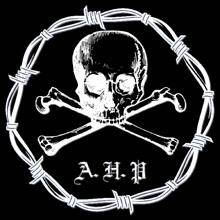 logo AHP