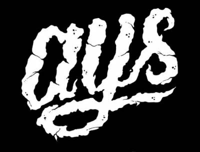 logo AYS