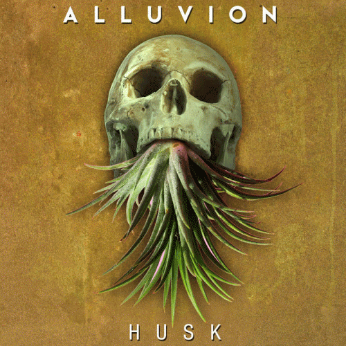 Alluvion : Husk