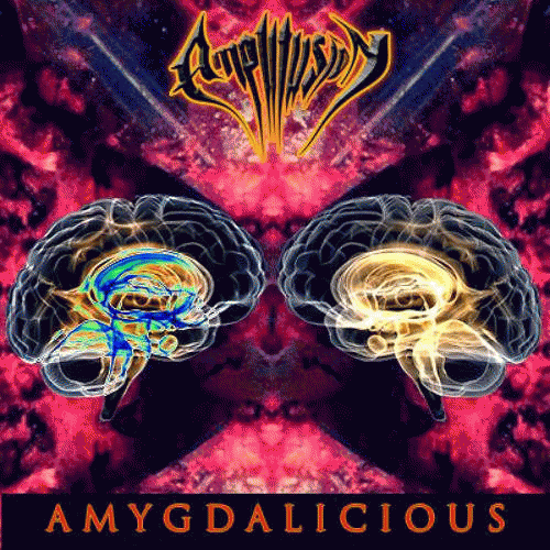 Amplitusion : Amygdalicious