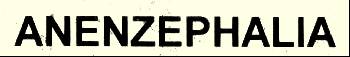 logo Anenzephalia