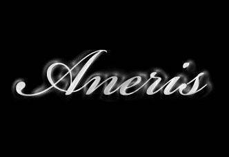 logo Aneris