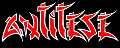 logo Antitese
