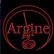 logo Argine