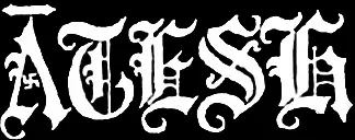 logo Atesh