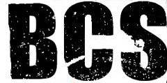 logo BCS