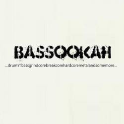 Bassookah : ...drum'n'bassgrindcorebreakcorehardcoremetalandsomemore...