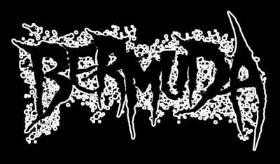 logo Bermuda (AUS)