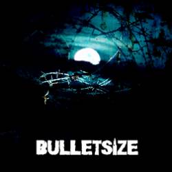 Bulletsize : Bulletsize