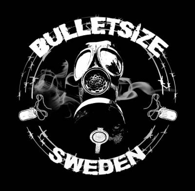 logo Bulletsize