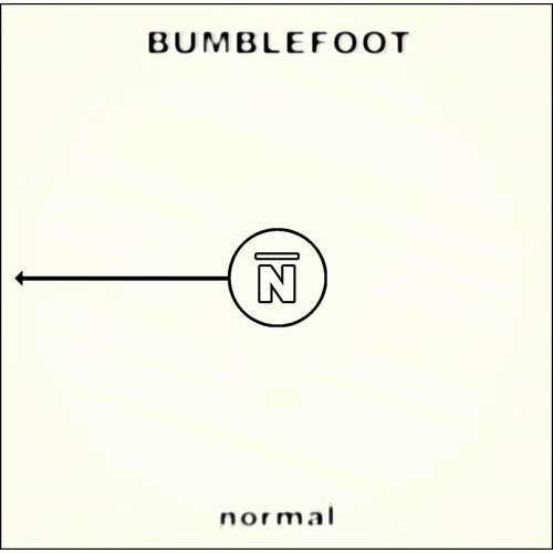 Bumblefoot : Normal