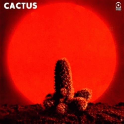 Cactus : Cactus