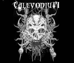 Calevodium : Stigma