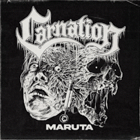 Carnation : Maruta