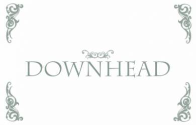 logo Downhead