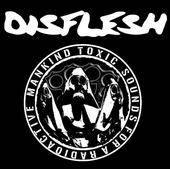 logo Disflesh