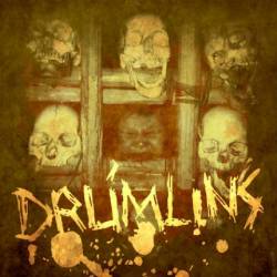 Drumlins : Drumlins
