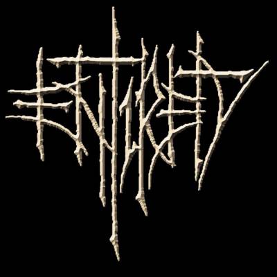 logo Entirety