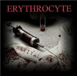 Erythrocyte : Revival