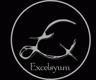 logo Excelsyum