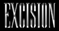 logo Excision (IDN)