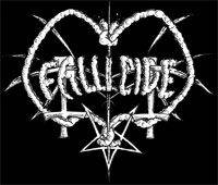 logo Fallicide
