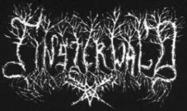 logo Finsterwald