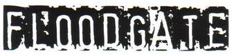 logo Floodgate