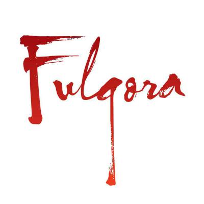 logo Fulgora