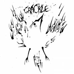 Grackle : Grackle
