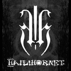 logo HailHornet