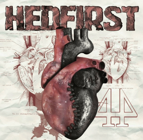 Hedfirst : 44