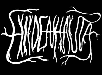 logo Hiidenhauta