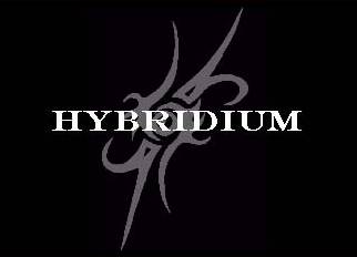 logo Hybridium