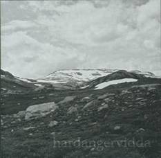 Ildjarn : Hardangervidda