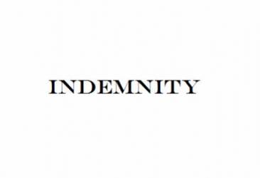 logo Indemnity