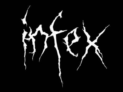 logo Infex