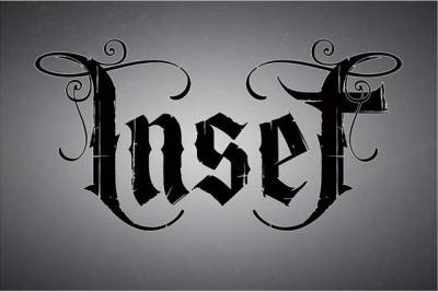 logo Inset