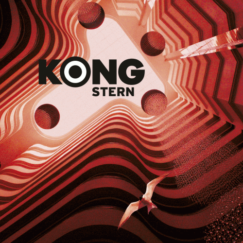 Kong (NL) : Stern