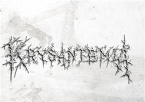 logo Krysantemia