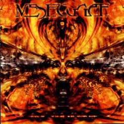Meshuggah : Nothing