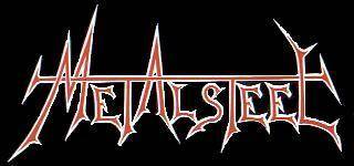 logo Metalsteel