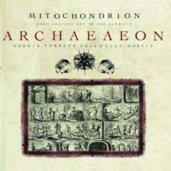 Mitochondrion : Archaeaeon