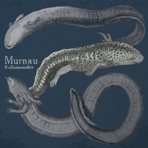 Murnau : Salamander