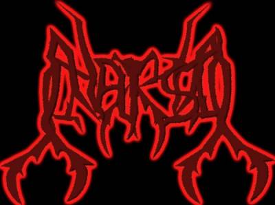 logo Narsil