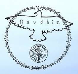 logo Naudhiz