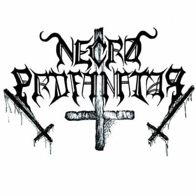 logo Necroprofanator