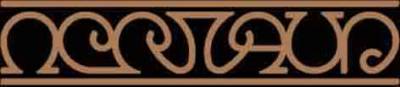 logo Nerthus