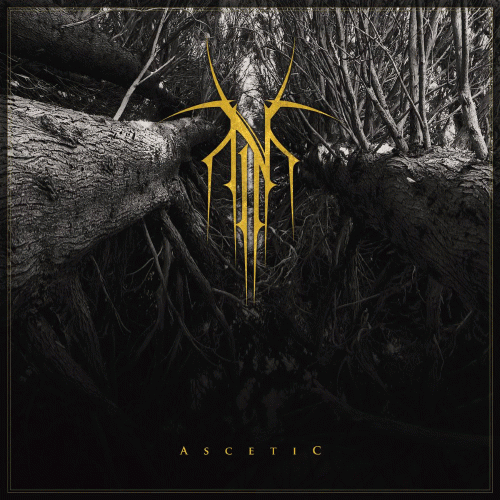 Norse : Ascetic