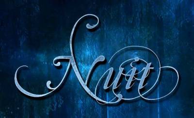 logo Nuit (FRA)